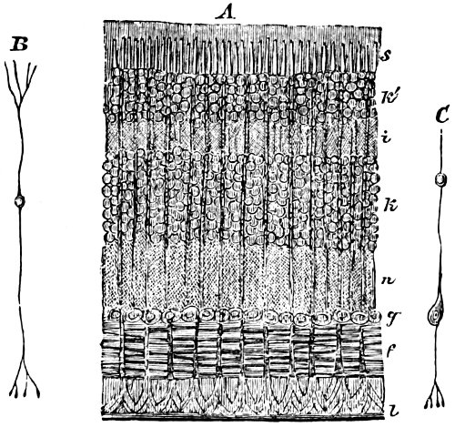 see caption see caption