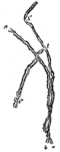 see caption see caption