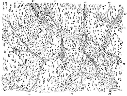 see caption see caption