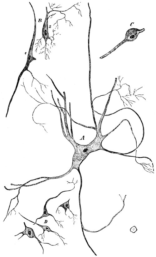 see caption see caption