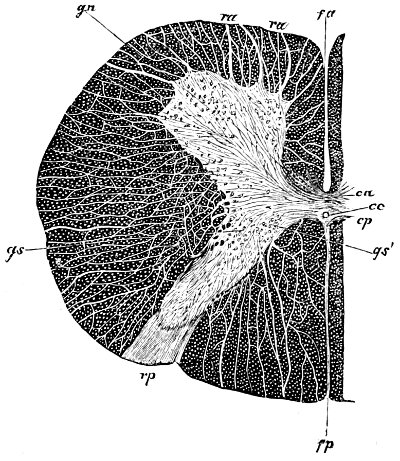 see caption see caption