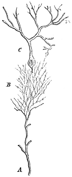 see caption see caption