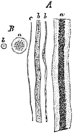 see caption see caption