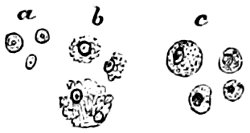 see caption see caption