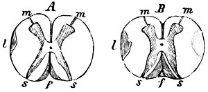 see caption see caption