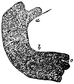 see caption see caption