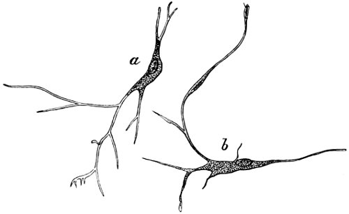 see caption see caption