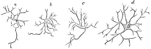 see caption see caption