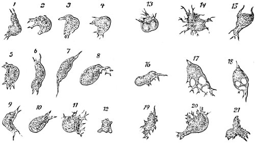 see caption see caption