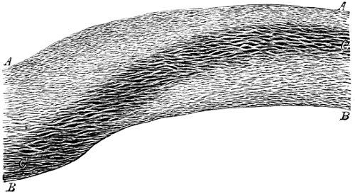 see caption see caption