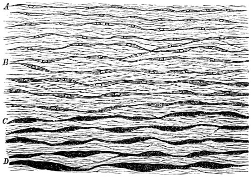 see caption see caption