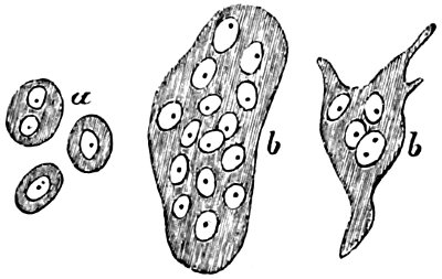 see caption see caption