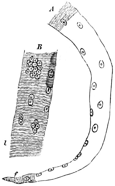 see caption see caption