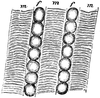 see caption see caption