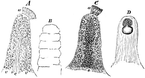 see caption see caption