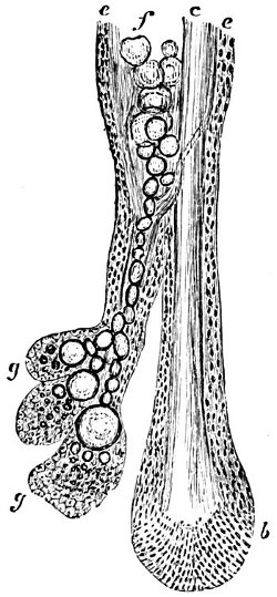 see caption see caption