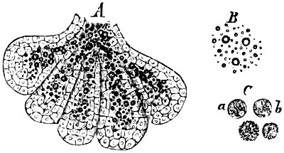 see caption see caption