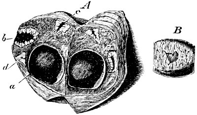 see caption see caption