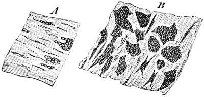 see caption see caption