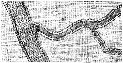 see caption see caption