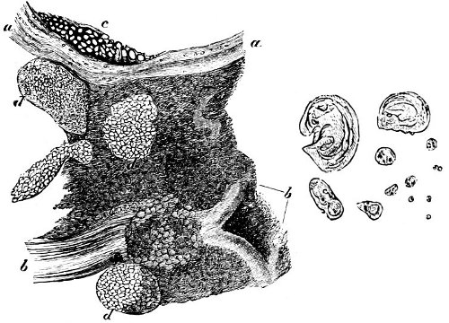 see caption see caption