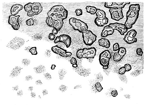 see caption see caption