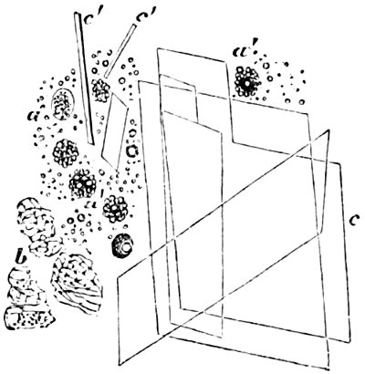 see caption see caption