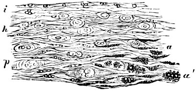 see caption see caption