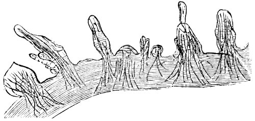 see caption see caption