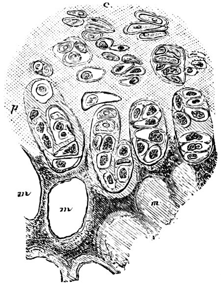 see caption see caption