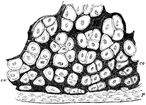 see caption see caption