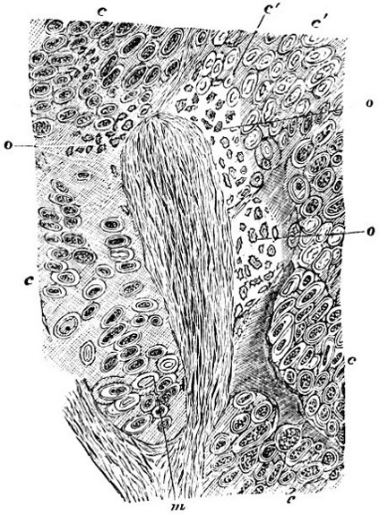 see caption see caption