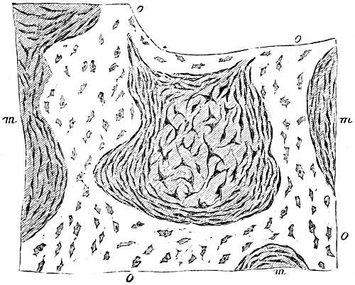 see caption see caption