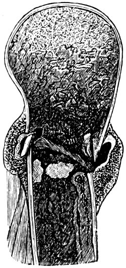 see caption see caption