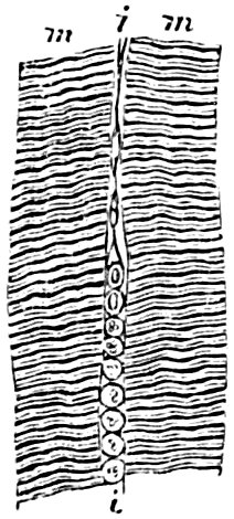 see caption see caption