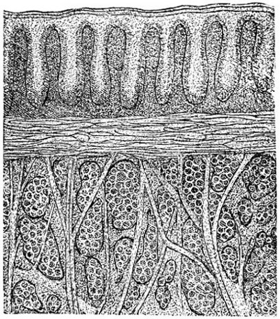 see caption see caption