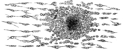 see caption see caption