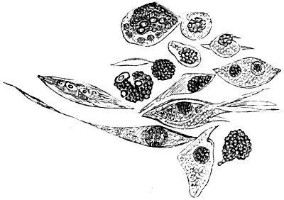 see caption see caption