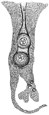 see caption see caption