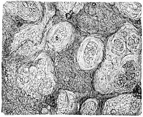 see caption see caption