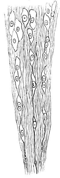 see caption see caption