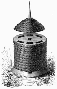 Fig. 325.—Bell-shaped hive. Fig. 325.—Bell-shaped hive.