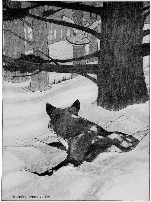 “MUCH CHAGRINED, HE GAZED AFTER HER.”