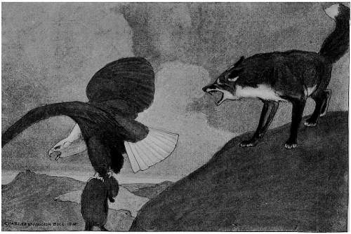 “THE EAGLE, WITH THE PRIZE DANGLING FROM HIS CLAWS, WAS ALREADY FAR OUT OF REACH.”