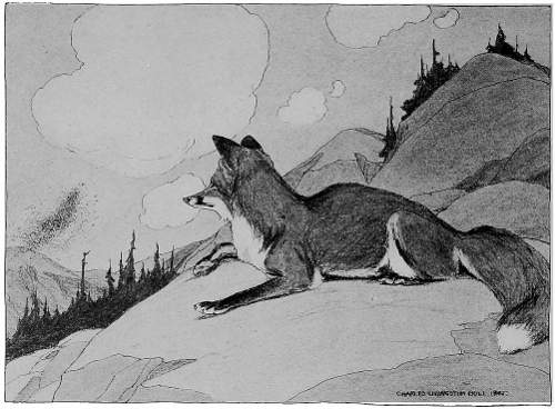 “NEARER AND NEARER CAME THE WHIRLING CLOUD.”