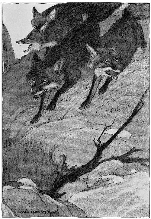 “THE DIMINISHED FAMILY SPED ON.”