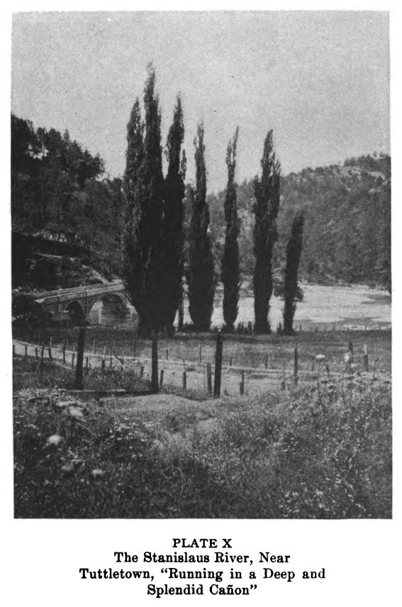 Stanislaus River. Plate10