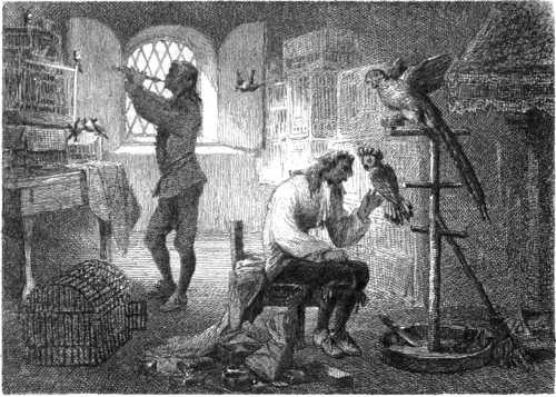 THE BIRD-FANCIER THE BIRD-FANCIER