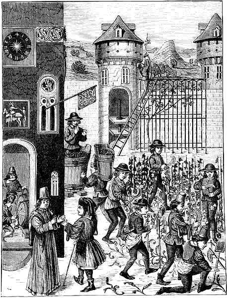 Cultivation of Vine and Vintaging Cultivation of the Vine