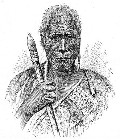 Maori Chieftain Maori Chieftain